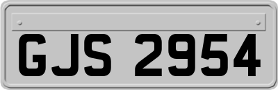 GJS2954