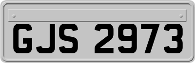 GJS2973