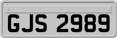 GJS2989