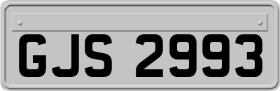 GJS2993