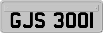 GJS3001