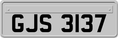 GJS3137