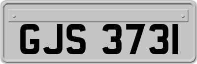 GJS3731
