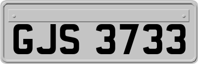 GJS3733