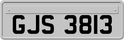 GJS3813