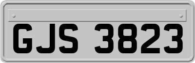 GJS3823