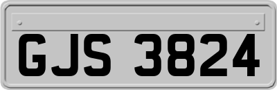 GJS3824