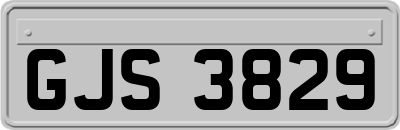 GJS3829