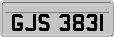 GJS3831