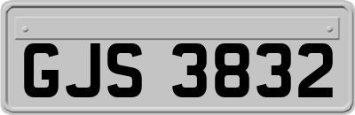 GJS3832