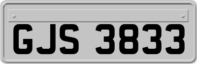 GJS3833