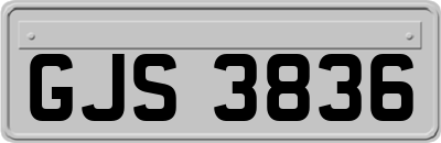 GJS3836