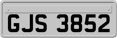 GJS3852