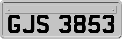 GJS3853
