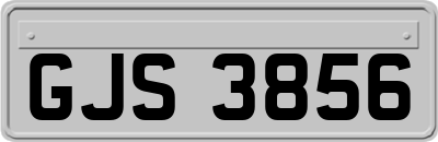 GJS3856