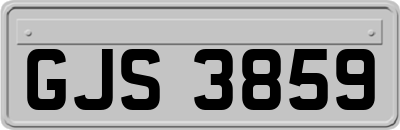 GJS3859