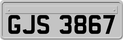 GJS3867