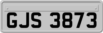 GJS3873