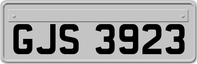 GJS3923