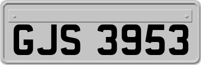 GJS3953