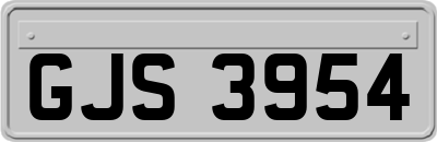 GJS3954