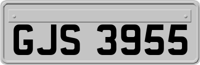GJS3955