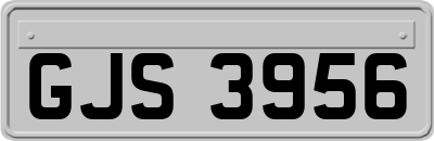 GJS3956
