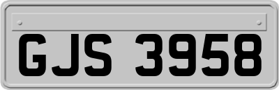 GJS3958