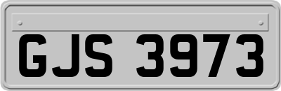 GJS3973