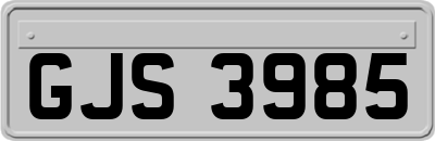 GJS3985