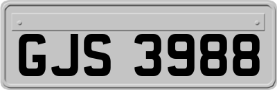 GJS3988