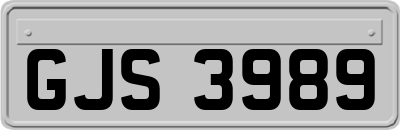 GJS3989