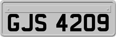 GJS4209
