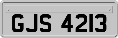 GJS4213