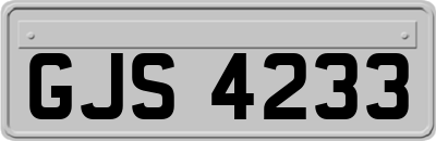 GJS4233