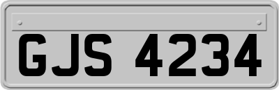 GJS4234