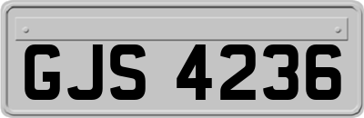 GJS4236