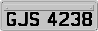 GJS4238