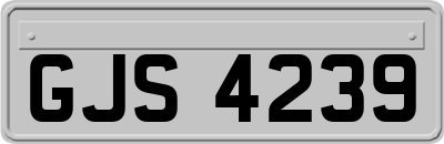 GJS4239