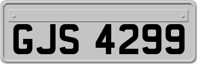 GJS4299