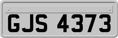 GJS4373