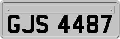 GJS4487