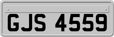 GJS4559
