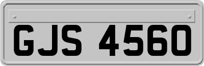 GJS4560