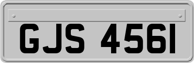 GJS4561