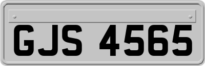 GJS4565