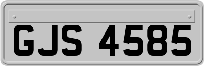GJS4585