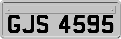 GJS4595
