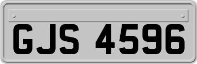 GJS4596