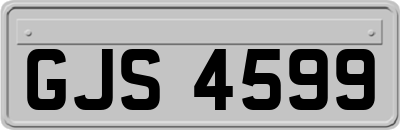 GJS4599